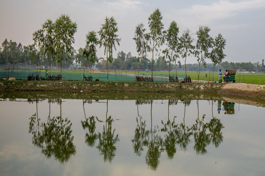 nature of Bangladesh