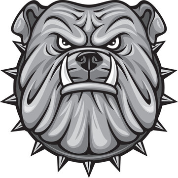 Angry Bulldog Head Color. Vector Illustration.