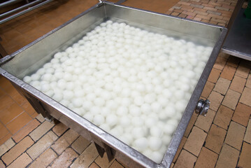 Production of mozzarella at the factory. Balls of cheese float in a special solution. Last stage of...