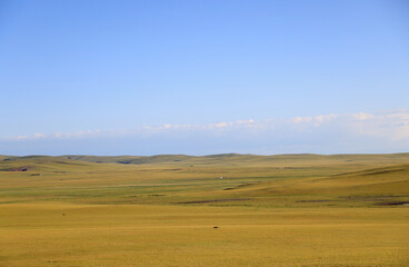 Obraz premium View of the green Mongolian steppe in summer