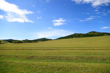 View of the green Mongolian steppe in summer