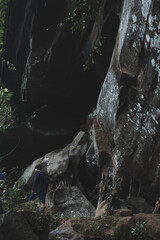 Under the rock