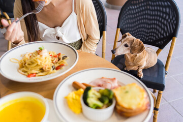 Woman bring her dachshund at outdoor restaurant