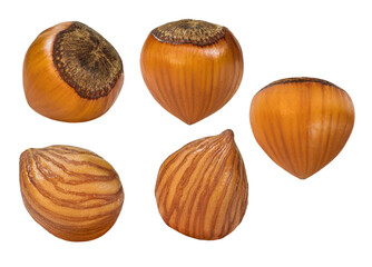 Kit. Hazelnuts. Whole and Core and grain. Depth of field. Isolated. On an empty background.