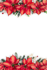Christmas decoration. Flowers of red orange poinsettia, branch christmas tree, berries mistletoe,...
