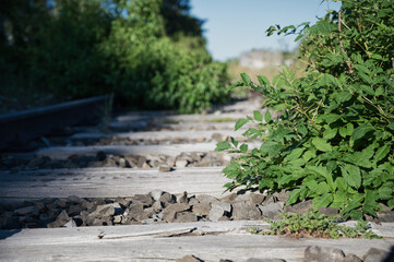 Stillgelegte Bahnschiene