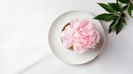  a white plate with a pink flower on it next to a green plant.  generative ai