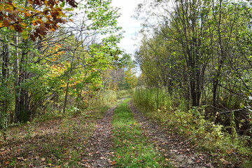 La Gabelle & La Tuque Generating Stations