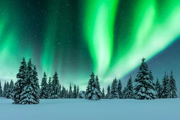 Abwaschbare Fototapete Nordlichter Aurora borealis. Northern lights in winter forest. Sky with polar lights and stars. Night winter landscape with aurora and pine tree forest. Travel concept