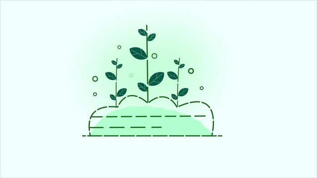 Plant Animation, Wave Animation, Icon Animation