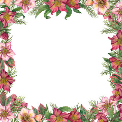 Square floral frame with hellebores and Xmas tree branches. Evergreen plants, spruce, winter flowers. Watercolor illustration. For greeting card design, invitation template. Space for text.