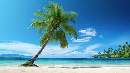 Fototapeta na wymiar a palm tree on a beach with a blue sky in the background. generative ai