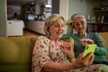 Senior lesbian couple talking to a smartphone video call on the couch at home