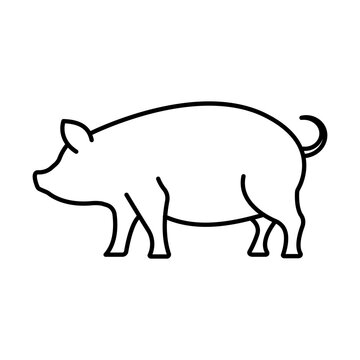 Pig linear icon. Simplified image of a pig. Vector illustration for labeling meat farm products