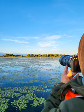 Photographer uses a telephoto lens to photograph the pelicans on a boat trip in the Danube Delta Biosphere Reserve, Delta Dunarii near Tulcea, Wallachia, Romania, Donaudelta