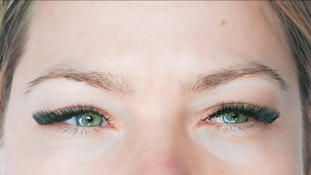 Close up of eye with eyelash extensions ,beauty salon treatment ,2d volume, 3d volume, classical lashes,Russian volume,megavolume, new set

