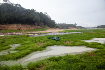 Dry river landscape in extreme drought in the Amazon Rainforest, the largest tropical forest....