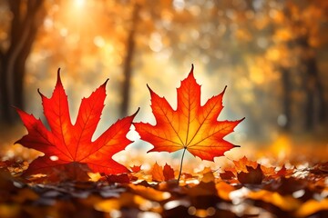 Naklejka na ściany i meble Autumn maple leaves.