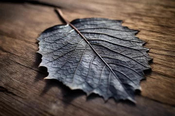  Ash imprint of a leaf on a wooden surface after a small fire © Dan