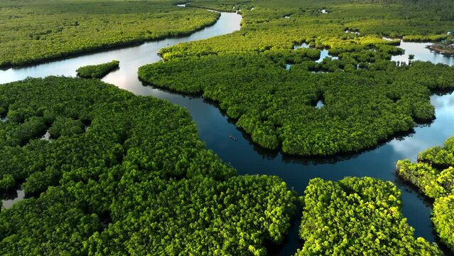 Aerial view of Maasin River, Siargao, Philippines.
