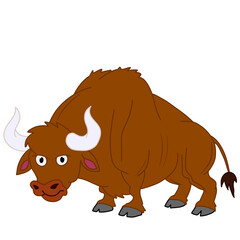 illustration of a Bull