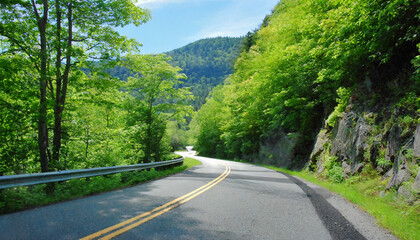 Embrace Nature's Beauty Scenic Drive Through Greenery