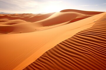 Rolling orange sand dunes and sand ripples.
