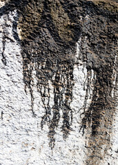 Abstract paint grunge background. Drty old cement wall with black paint stains 