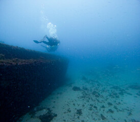 divers swimming over a sunken ship