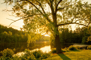 sunset over the river 
