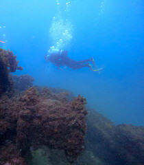 Fototapeta na wymiar diver diving near a sunken ship