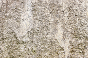 Gray concrete wall close-up.