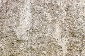 Naklejka premium Gray concrete wall close-up.