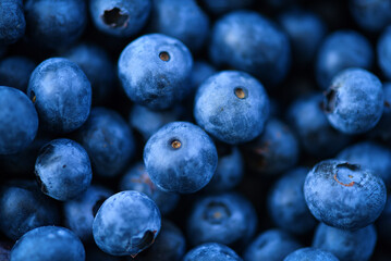 blueberries close up