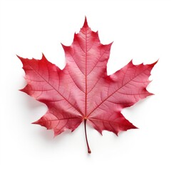 Obraz premium a red maple leaf whispers the soul of Canada, Generative AI