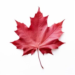 Naklejka na ściany i meble a red maple leaf whispers the soul of Canada, Generative AI
