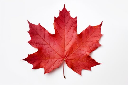 a red maple leaf whispers the soul of Canada, Generative AI