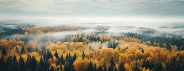 Foto op Plexiglas Aerial panoramic view of foggy morning in autumnal forest in remote location © Pajaros Volando