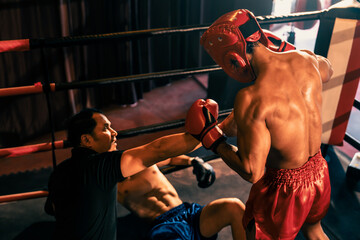 Boxing referee intervene, halting the fight to check fallen competitor. Intense and fierce boxing...