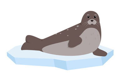 Seal animal sitting on ice floe. Sea or ocean aqua water mammal. Nature Vector flat or cartoon illustration icon isolated on white background.