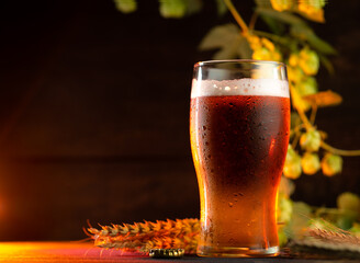 Light cold beer on a dark background, drops of water, green cones of hops and ears of wheat. Copy...