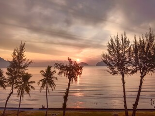 Obraz premium The trees sea and sun