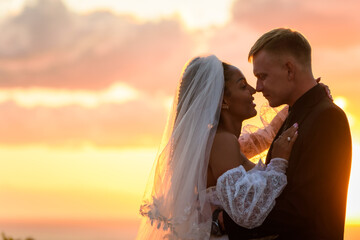 Portrait of happy newlyweds in the rays of the setting sun