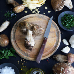 Funghi porcini biologici su tagliere di legno e ingredienti per cucinare. Fungo di bosco condimento...