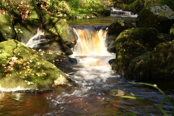 waterfall in autumn