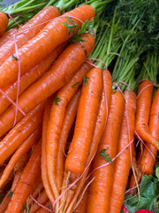 bunch of carrots