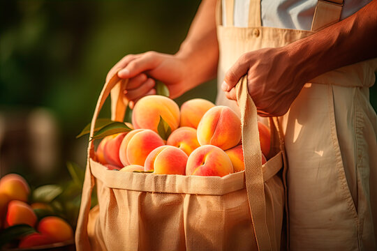 Close-up of a worker with a harvest bag full of peaches.