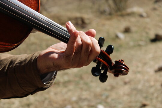 viol&iacute;n