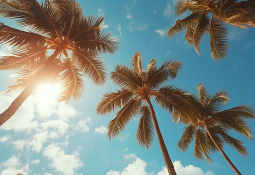 
Blue sky and palm trees view from below, vintage style, tropical beach and summer background, travel concept realistic image