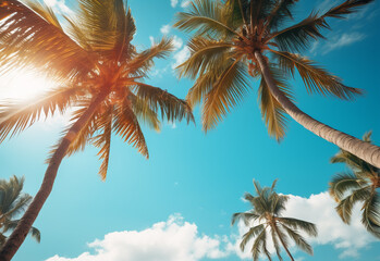 
Blue sky and palm trees view from below, vintage style, tropical beach and summer background, travel concept realistic image